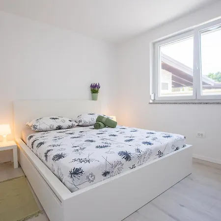 펜션 The Maj House