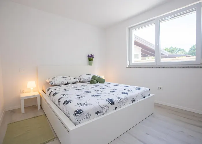 Tatil Evi The Maj House